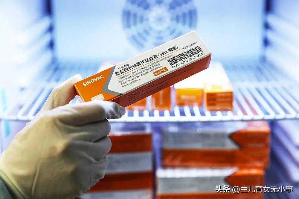 香港验血测试胎儿性别价格,备孕或辅助生殖助孕可以打新冠疫苗吗？