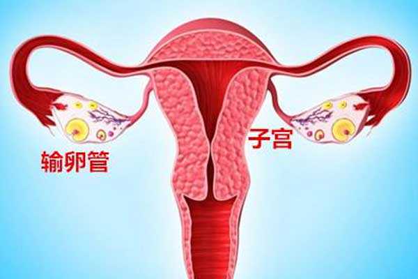<b>香港验血为啥那么贵,宫腔积液如何影响辅助生殖技术中助孕过程？</b>